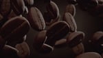 senseo over senseo tips inspiratie van koffieboon naar koffiepad het brandproces