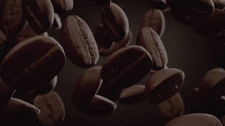 senseo over senseo tips inspiratie van koffieboon naar koffiepad het brandproces