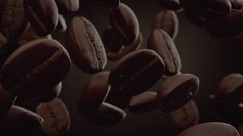 senseo over senseo tips inspiratie van koffieboon naar koffiepad het brandproces